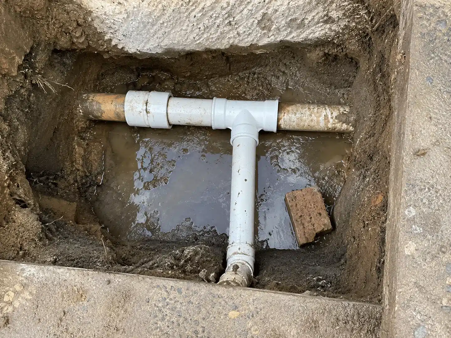 Plumb 3